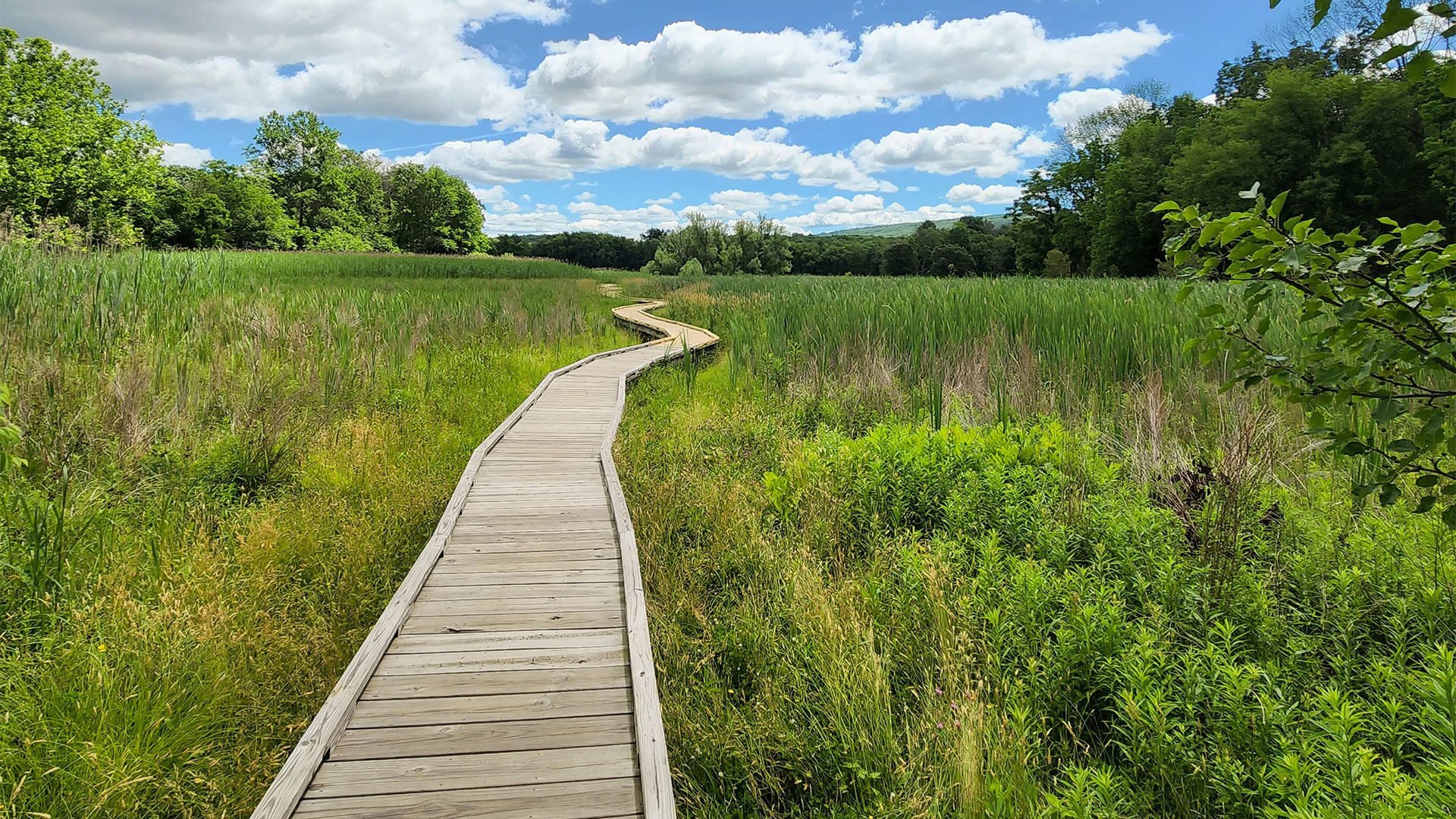 Edited-Baordwalk-Trail (1)